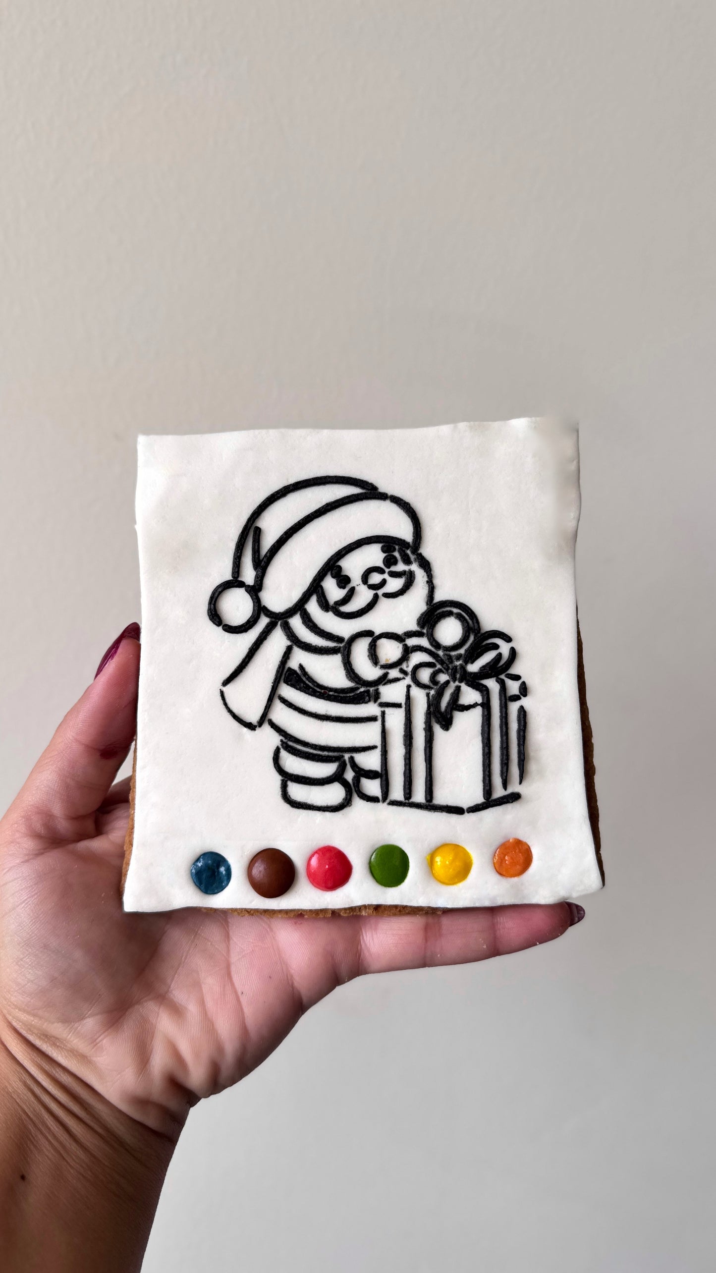 Coloring Cookie DIY Kit 12*12