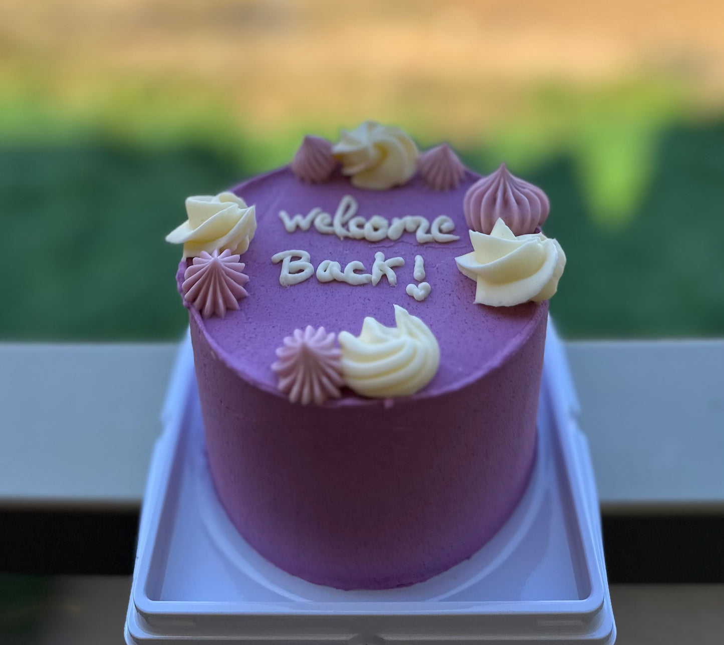 Vanilla Lovers Cakes